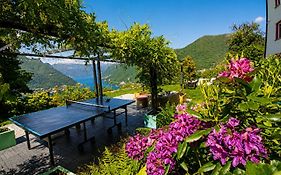 Essentia Guest House